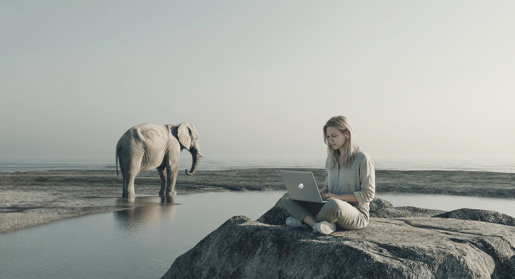 Das Bild zeigt eine Frau mit Laptop am Strand und im Hintergrund ist ein Elefant zu sehen